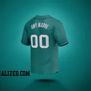 Stitched Customized Aqua White Royal Baseball Jersey